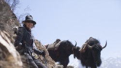 Bridget Ikin, producer and yaks