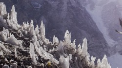 Birds in Khumbu icefall